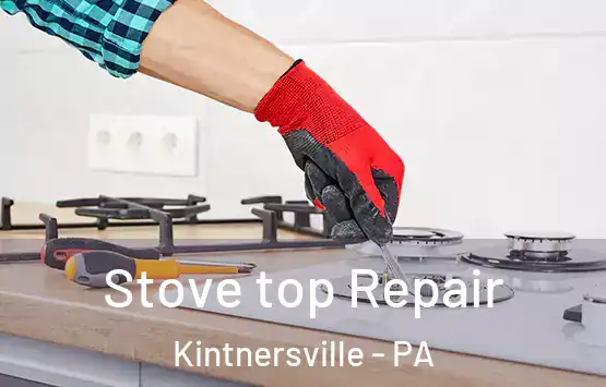  Stove top Repair Kintnersville - PA