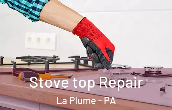  Stove top Repair La Plume - PA