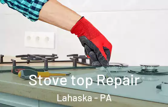  Stove top Repair Lahaska - PA