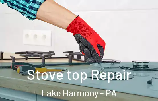  Stove top Repair Lake Harmony - PA