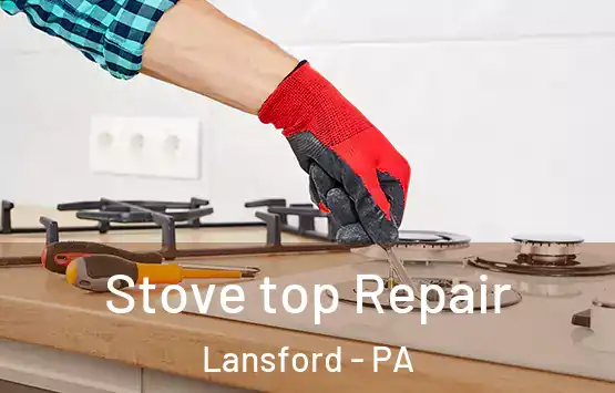  Stove top Repair Lansford - PA