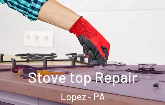  Stove top Repair Lopez - PA
