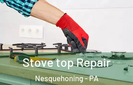  Stove top Repair Nesquehoning - PA