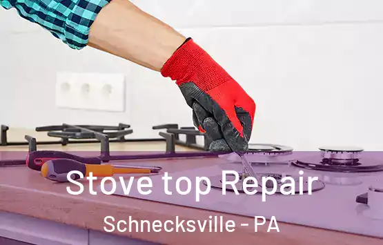  Stove top Repair Schnecksville - PA