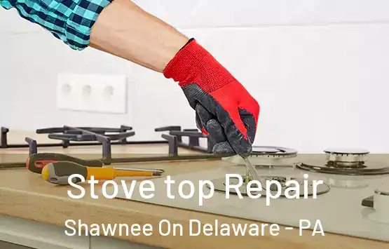  Stove top Repair Shawnee On Delaware - PA