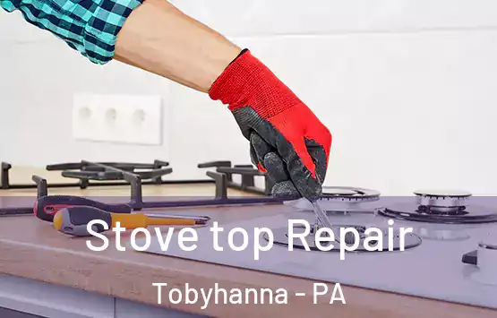  Stove top Repair Tobyhanna - PA