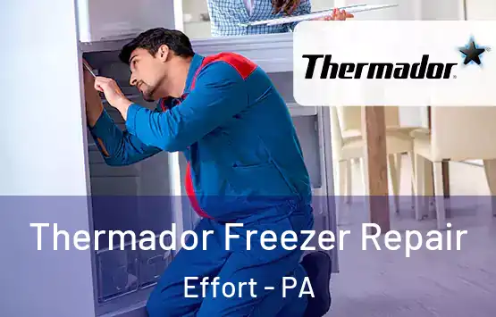  Thermador Freezer Repair Effort - PA