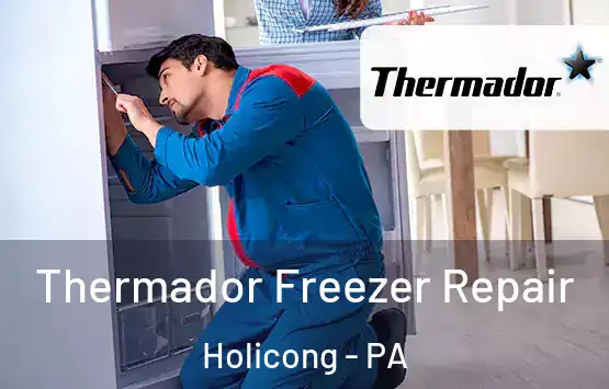  Thermador Freezer Repair Holicong - PA