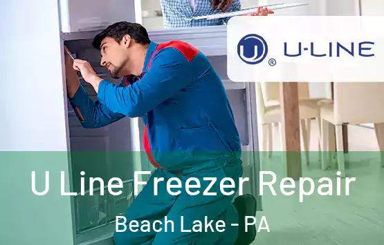  U Line Freezer Repair Beach Lake - PA