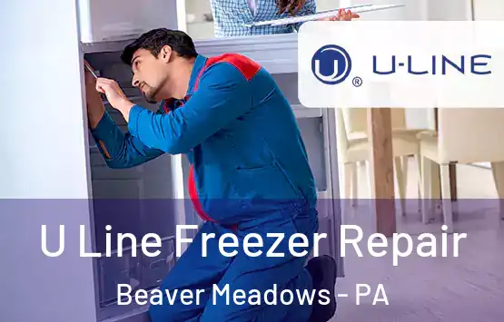  U Line Freezer Repair Beaver Meadows - PA