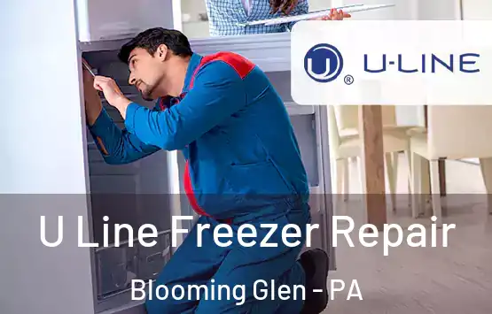  U Line Freezer Repair Blooming Glen - PA