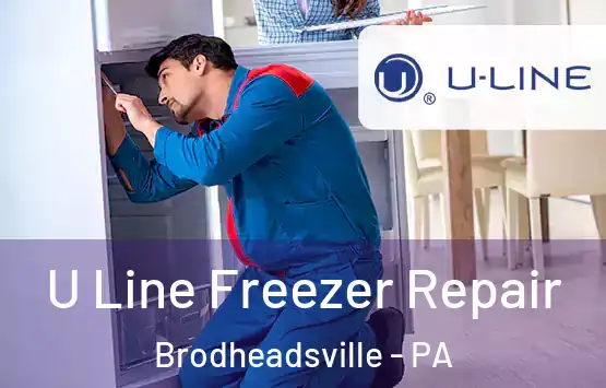  U Line Freezer Repair Brodheadsville - PA