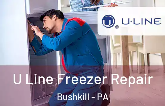  U Line Freezer Repair Bushkill - PA