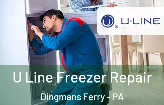  U Line Freezer Repair Dingmans Ferry - PA