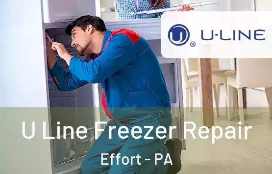  U Line Freezer Repair Effort - PA