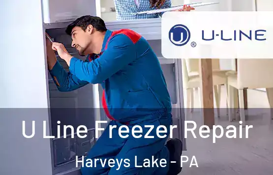  U Line Freezer Repair Harveys Lake - PA