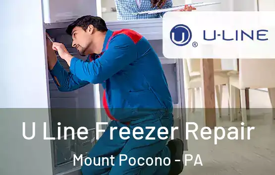  U Line Freezer Repair Mount Pocono - PA