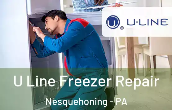 U Line Freezer Repair Nesquehoning - PA