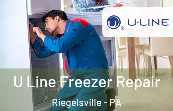  U Line Freezer Repair Riegelsville - PA