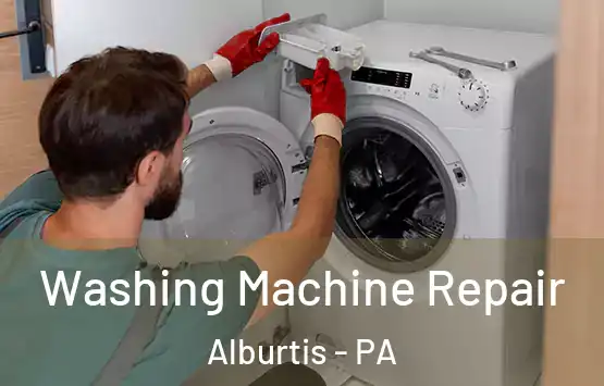  Washing Machine Repair Alburtis - PA