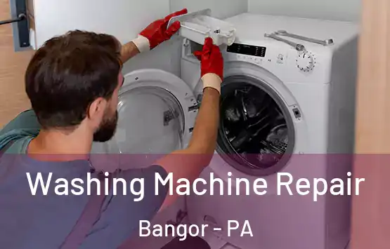  Washing Machine Repair Bangor - PA