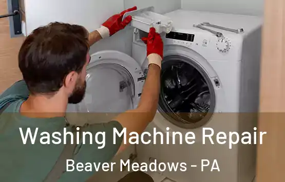  Washing Machine Repair Beaver Meadows - PA