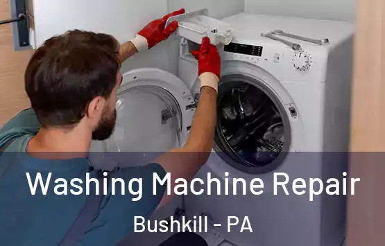  Washing Machine Repair Bushkill - PA