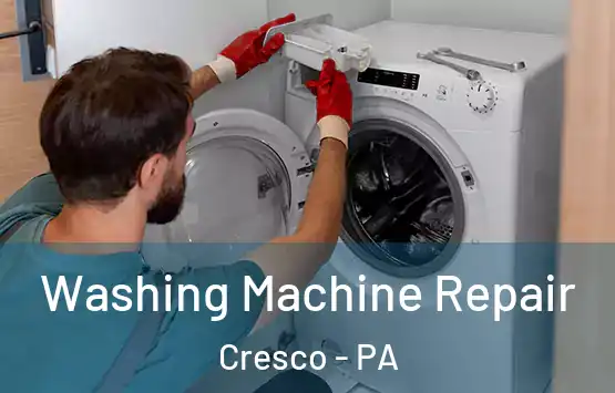  Washing Machine Repair Cresco - PA