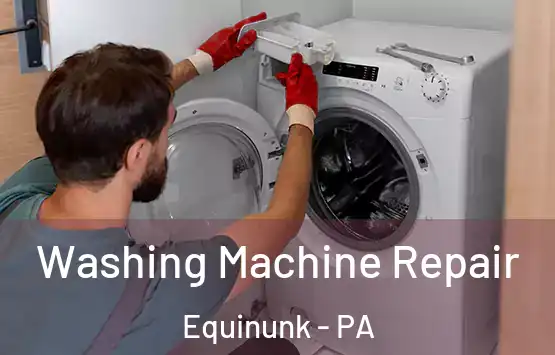  Washing Machine Repair Equinunk - PA