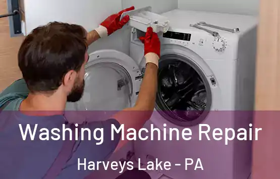  Washing Machine Repair Harveys Lake - PA