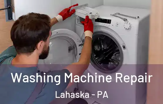  Washing Machine Repair Lahaska - PA
