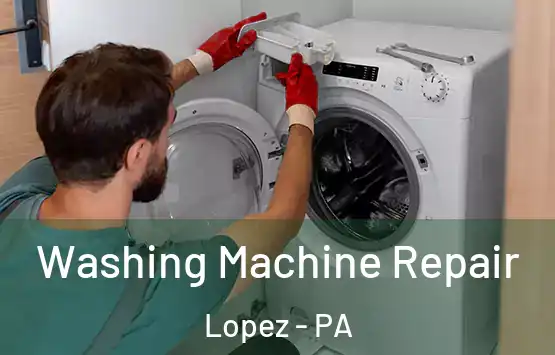  Washing Machine Repair Lopez - PA
