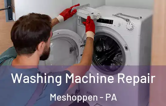  Washing Machine Repair Meshoppen - PA