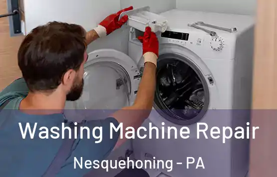  Washing Machine Repair Nesquehoning - PA