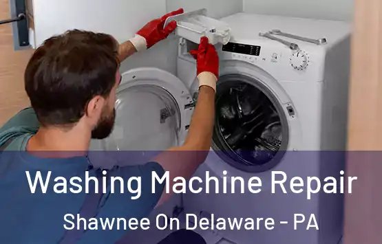  Washing Machine Repair Shawnee On Delaware - PA