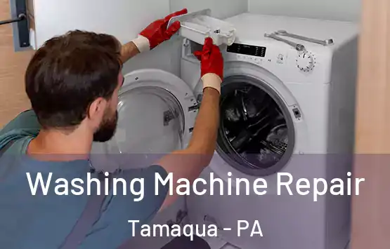  Washing Machine Repair Tamaqua - PA