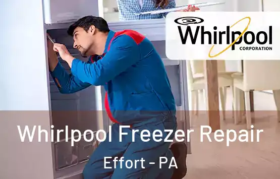  Whirlpool Freezer Repair Effort - PA
