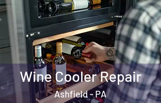  Wine Cooler Repair Ashfield - PA