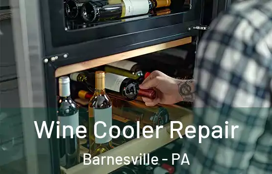  Wine Cooler Repair Barnesville - PA