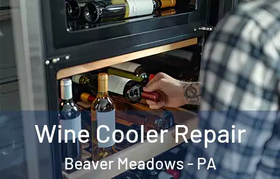  Wine Cooler Repair Beaver Meadows - PA