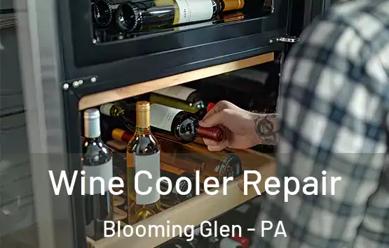  Wine Cooler Repair Blooming Glen - PA