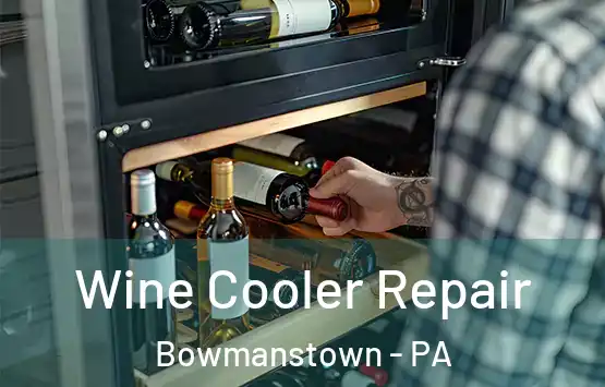  Wine Cooler Repair Bowmanstown - PA