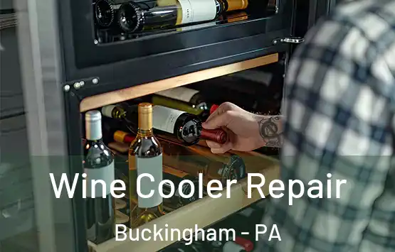  Wine Cooler Repair Buckingham - PA