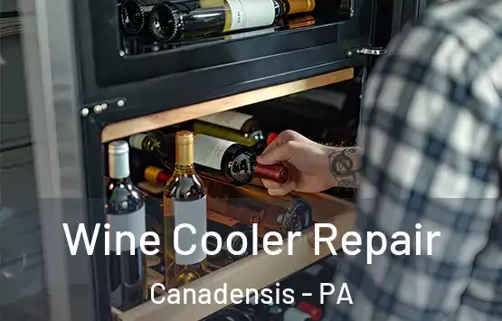  Wine Cooler Repair Canadensis - PA