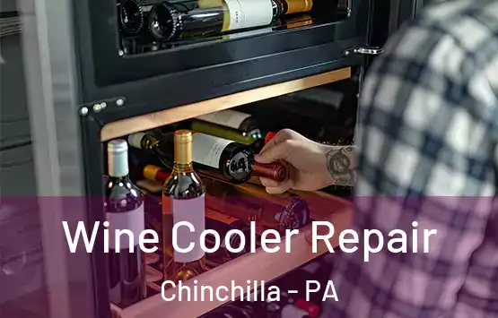  Wine Cooler Repair Chinchilla - PA