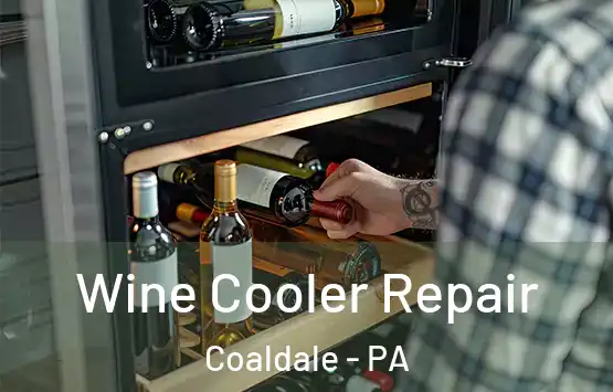  Wine Cooler Repair Coaldale - PA