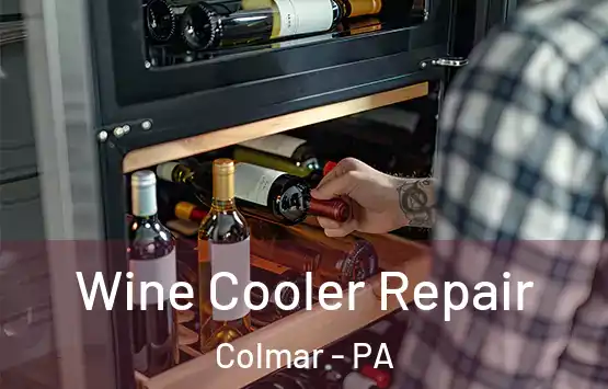  Wine Cooler Repair Colmar - PA