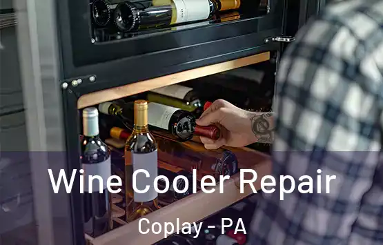  Wine Cooler Repair Coplay - PA