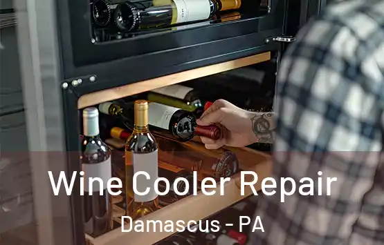  Wine Cooler Repair Damascus - PA
