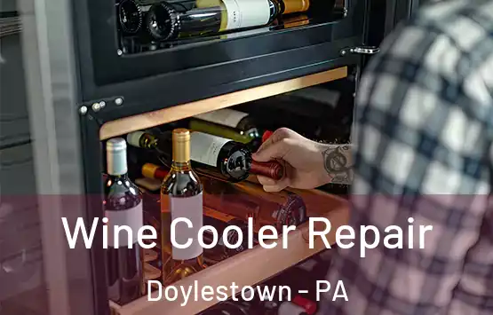  Wine Cooler Repair Doylestown - PA